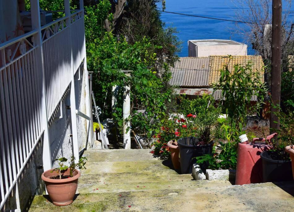 Kiki'S Beautiful House On Famous Village Pentati Exterior photo